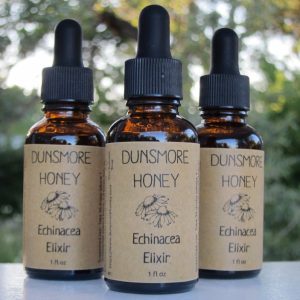 Echinacea Elixir (1 fl. oz.)